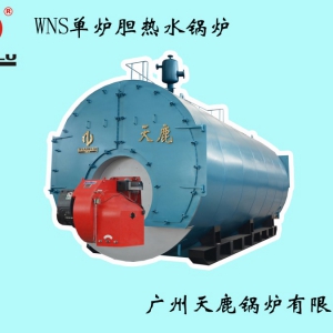WNS單爐膽熱水鍋爐